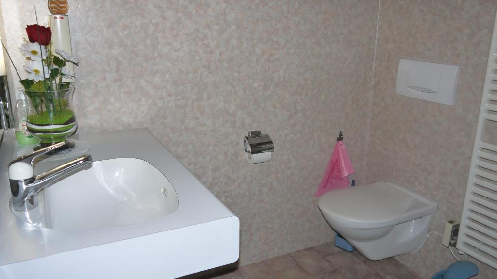 Gasthaus Bergheim Gurtnellen Oda fotoğraf